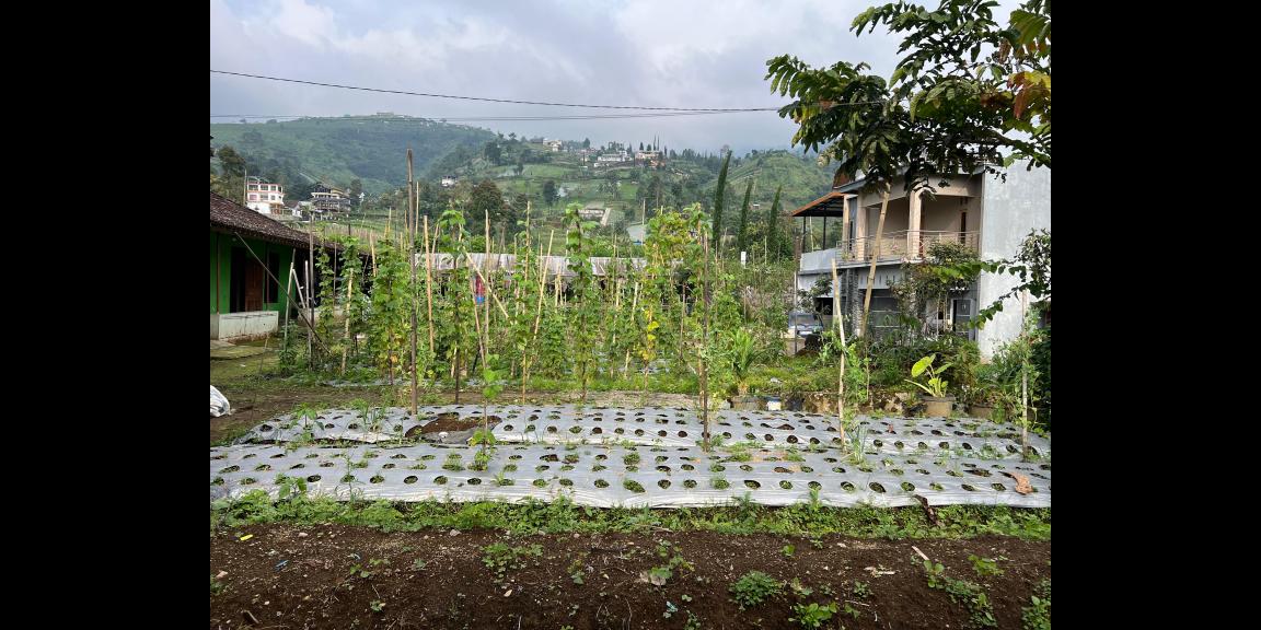 Tanah 175 Juta Siap Bangun Villa Kemuning Tanah 175 Juta Siap Bangun Villa Kemuning