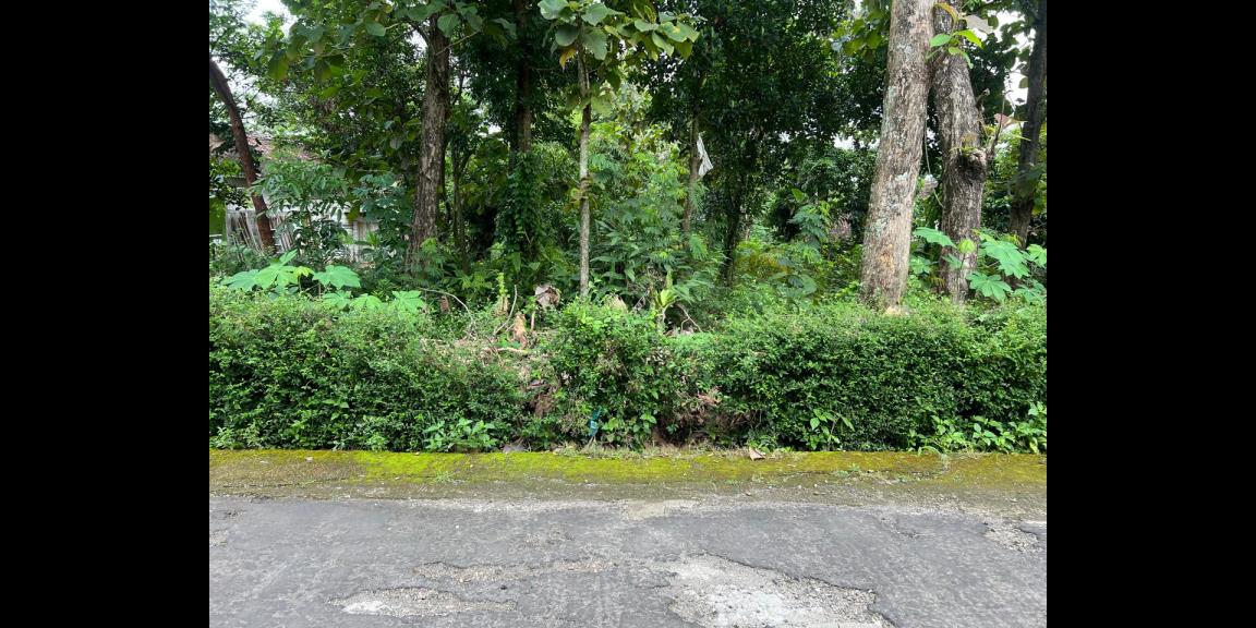 Tanah Datar 539m² Dekat Kecamatan Kerjo, Karanganyar Tanah Datar 539m² Dekat Kecamatan Kerjo, Karanganyar