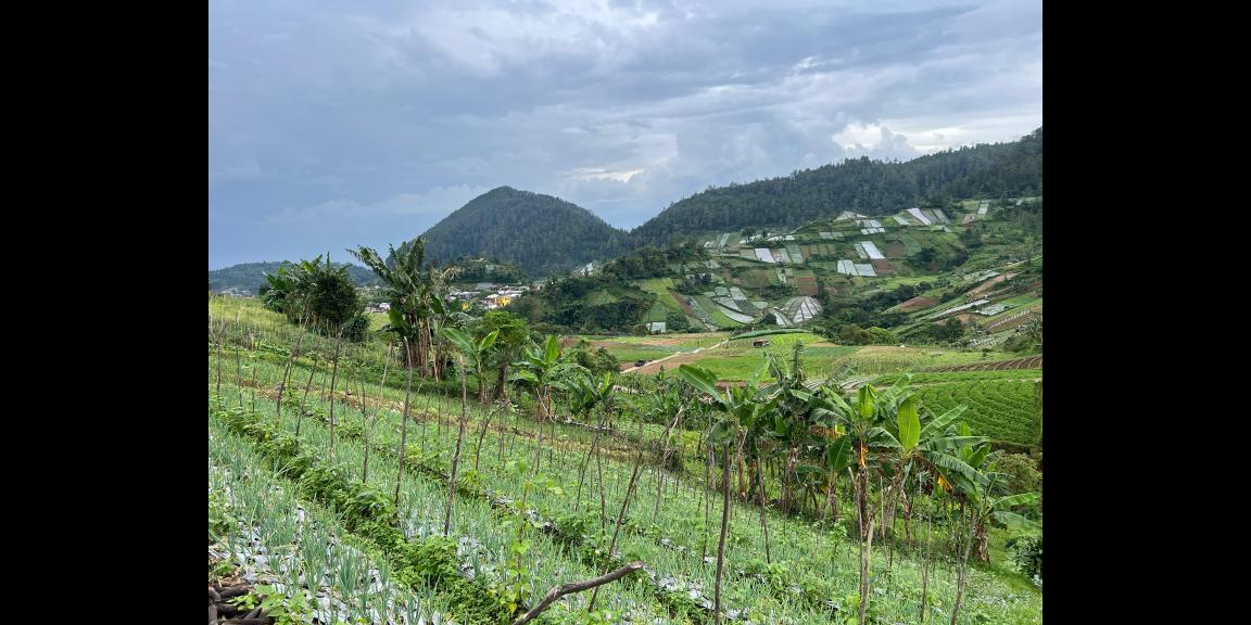 Tanah 300 Juta Siap Bangun Villa Tawangmangu  Tanah 300 Juta Siap Bangun Villa Tawangmangu