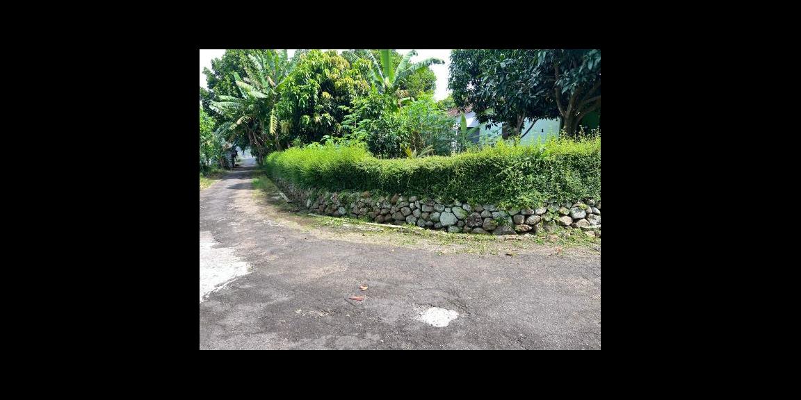 Tanah Datar View Hamparan Sawah Kedawung, Sragen Tanah Datar View Hamparan Sawah Kedawung, Sragen