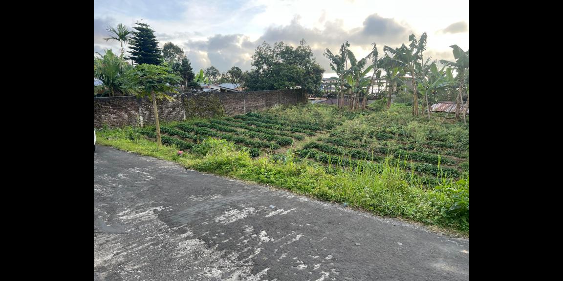 Tanah Datar Tawangmangu, Karanganyar 216m² Tanah Datar Tawangmangu, Karanganyar 216m²