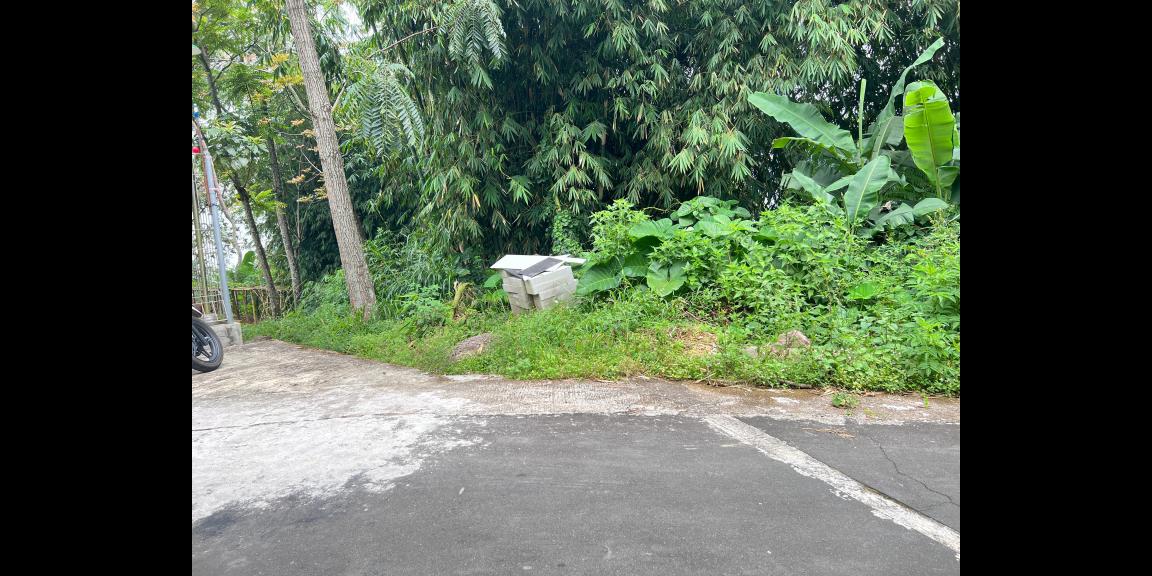 Pekarangan 225 Juta Cocok untuk Kebun Buah Ngargoyoso Pekarangan 225 Juta Cocok untuk Kebun Buah Ngargoyoso