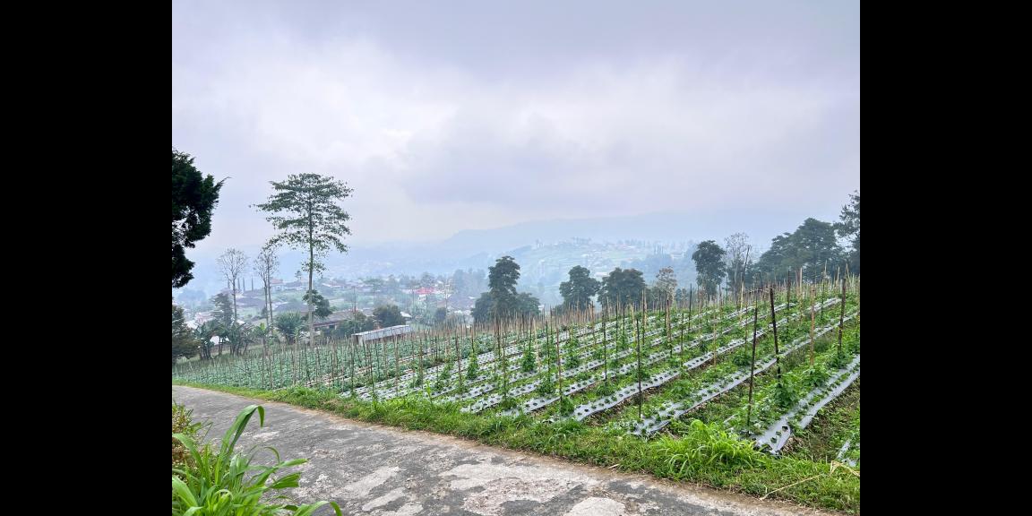 Tanah 1068m² View Cantik Tanpa Halang Ngargoyoso Tanah 1068m² View Cantik Tanpa Halang Ngargoyoso