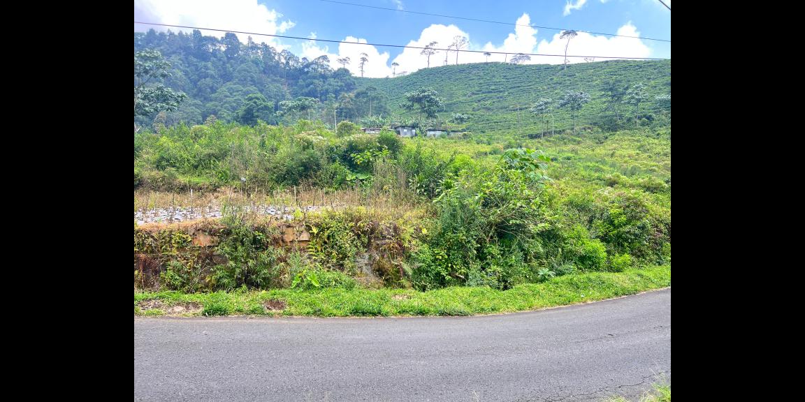 Strategis Tepi Jl Raya 498m View Kebun Teh Kemuning Strategis Tepi Jl Raya 498m View Kebun Teh Kemuning