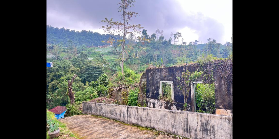 Tanah 800m² View Perkebunan Teh Karanganyar Tanah 800m² View Perkebunan Teh Karanganyar