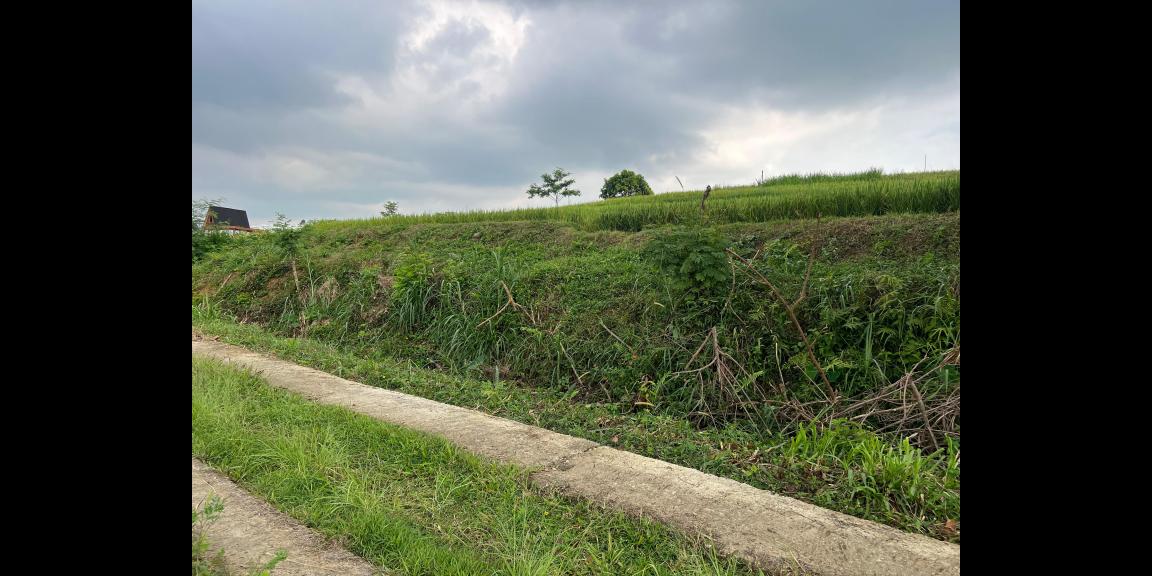 Tanah Subur 1000m² 300 Juta Karangpandan Tanah Subur 1000m² 300 Juta Karangpandan