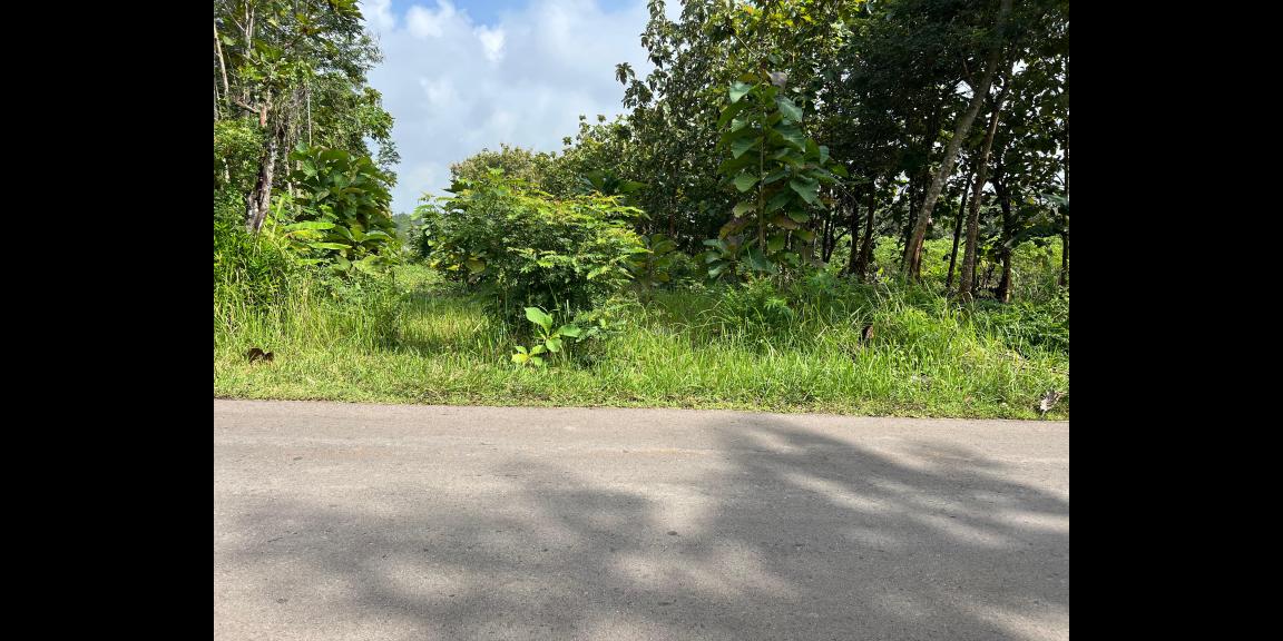 Tanah Datar Untuk Gudang 1000m² Tepi Jl Raya Kerjo – Sragen Tanah Datar Untuk Gudang 1000m² Tepi Jl Raya Kerjo – Sragen