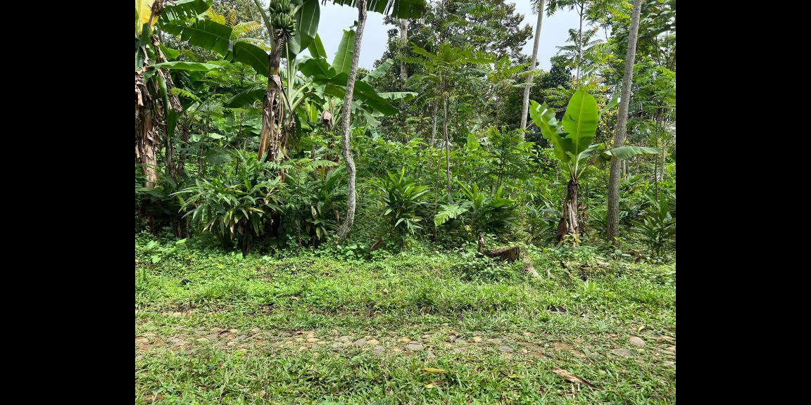 Tanah Datar Murah 500m 175Jt Jenawi Karanganyar Tanah Datar Murah 500m 175Jt Jenawi Karanganyar