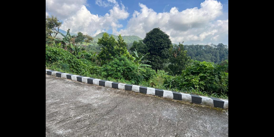 Dijual tanah udara dingin siap bangun villa, homestay dll Dijual tanah udara dingin siap bangun villa, homestay dll