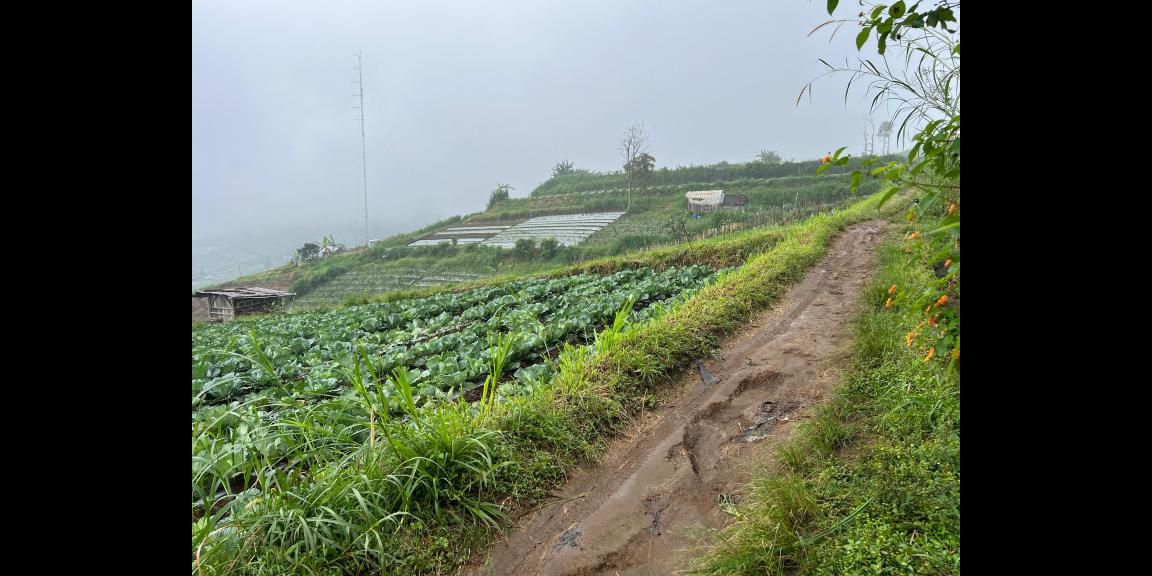 Tanah Wisata Kemuning 1000m View Istimewa Tanah Wisata Kemuning 1000m View Istimewa