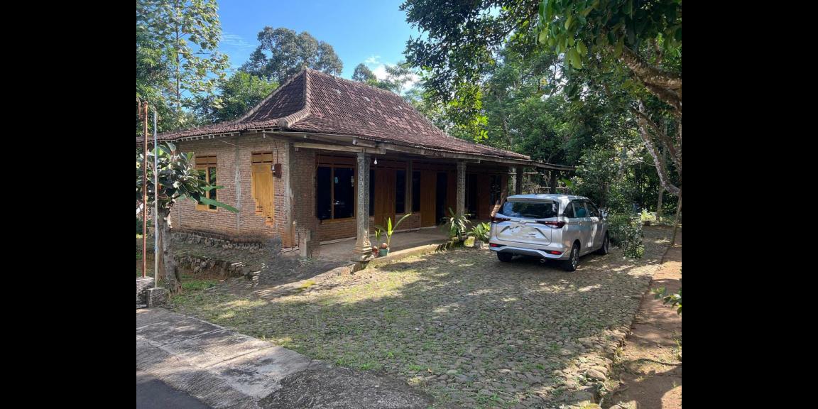 Tanah 1700m² Bonus Rumah Limasan Mojogedang Tanah 1700m² Bonus Rumah Limasan Mojogedang