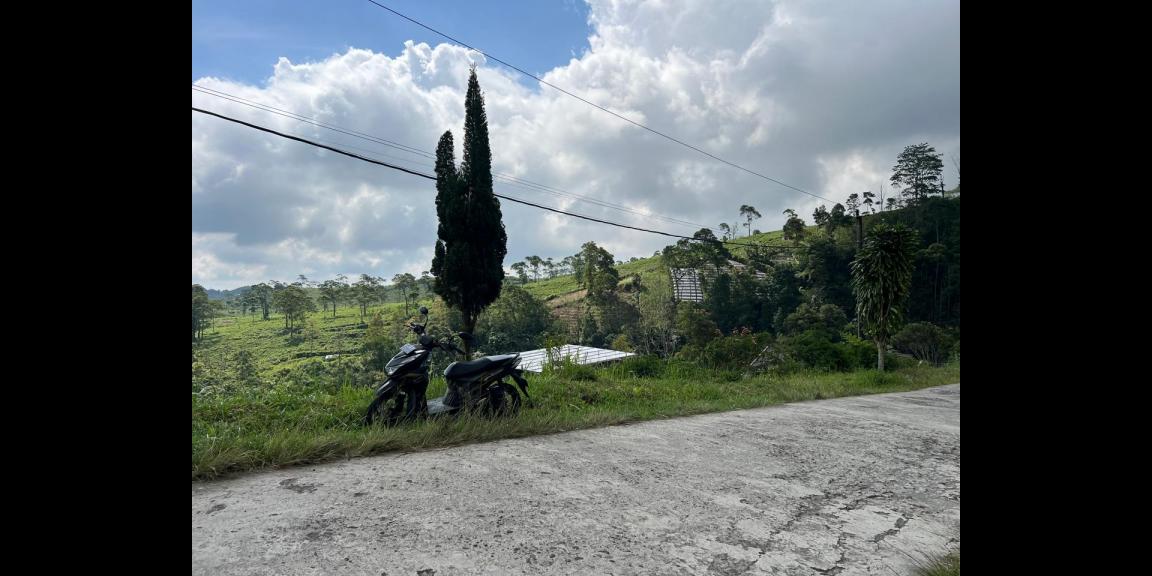 Dijual Tanah Udara Dingin Siap Bangun Villa/ Resto Kemuning Solo Dijual Tanah Udara Dingin Siap Bangun Villa/ Resto Kemuning Solo