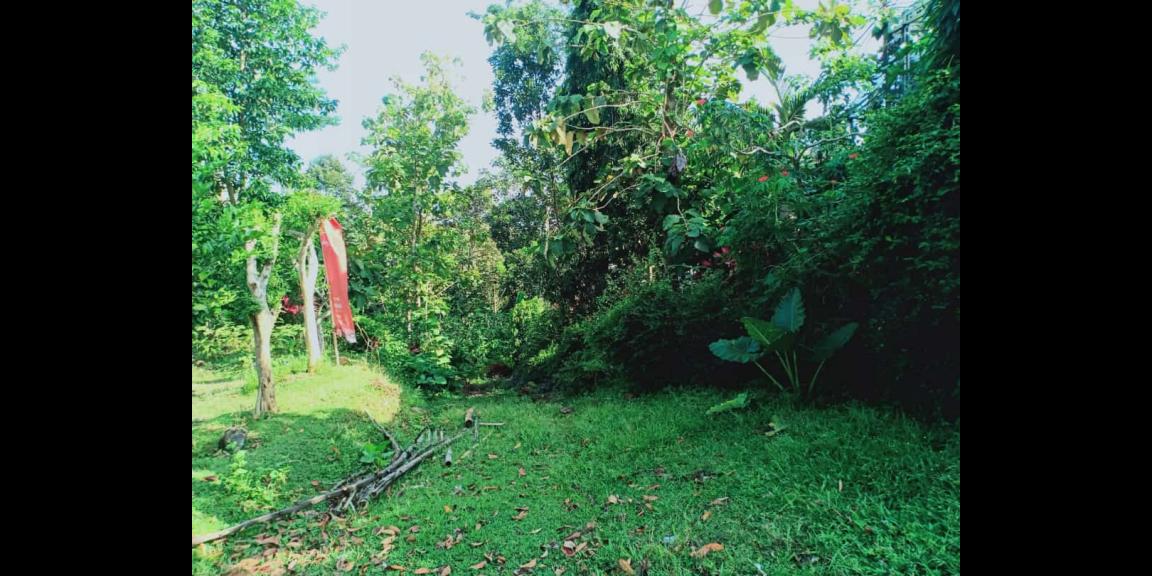 Jual Cepat Tanah 1183m² Karanganyar Jual Cepat Tanah 1183m² Karanganyar