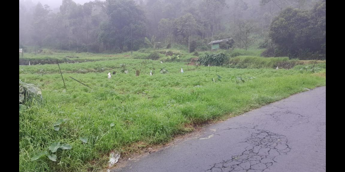 Tanah 825m² Strategis Tepi Jl Tawangmangu Karanganyar Tanah 825m² Strategis Tepi Jl Tawangmangu Karanganyar