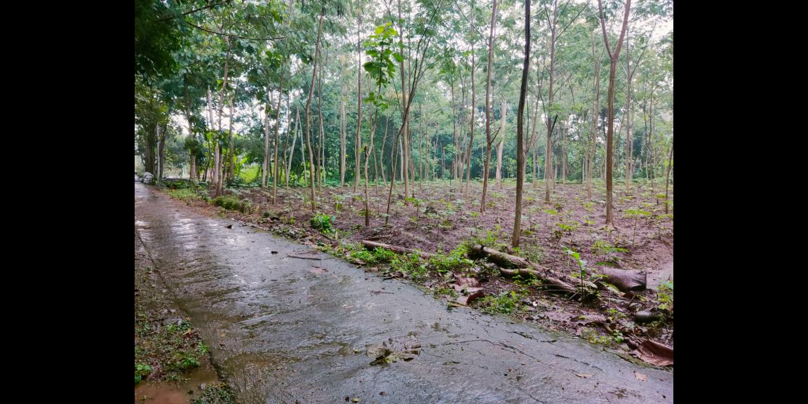 Tanah Datar Cocok di Kavling /dibangun Rumah Mojogedang Karanganyar Tanah Datar Cocok di Kavling /dibangun Rumah Mojogedang Karanganyar