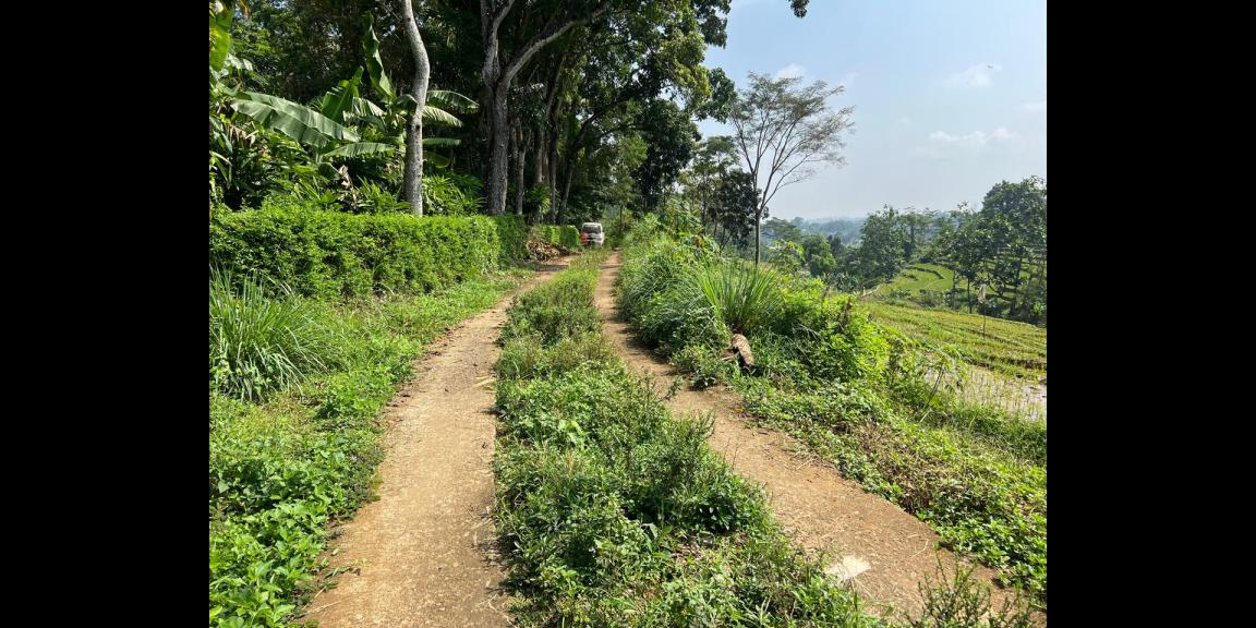 Tanah Subur 4000m² Udara Dingin Karangpandan Tanah Subur 4000m² Udara Dingin Karangpandan