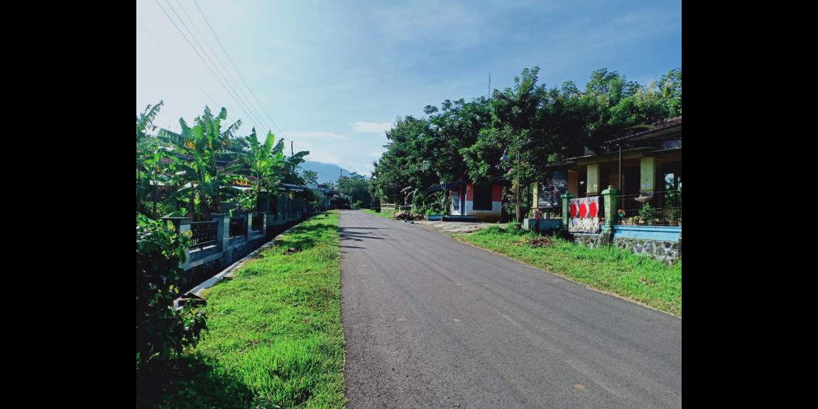 Tanah Kebun Jati Datar 1 Hektar Kerjo Karanganyar Tanah Kebun Jati Datar 1 Hektar Kerjo Karanganyar