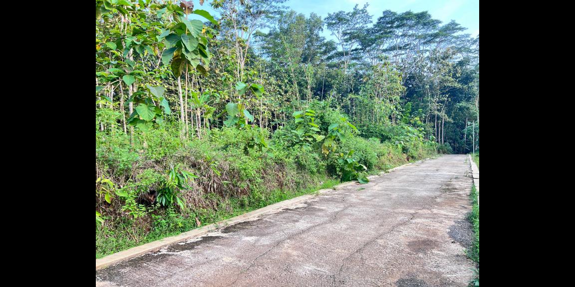 Tanah 2050m² Siap Bangun Utara Pasar Mojogedang Tanah 2050m² Siap Bangun Utara Pasar Mojogedang