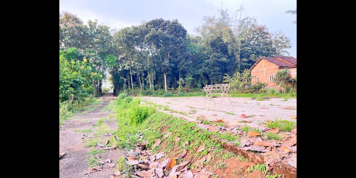 Tanah Super Datar 2000m Barat Pasar Mojogedang Tanah Super Datar 2000m Barat Pasar Mojogedang