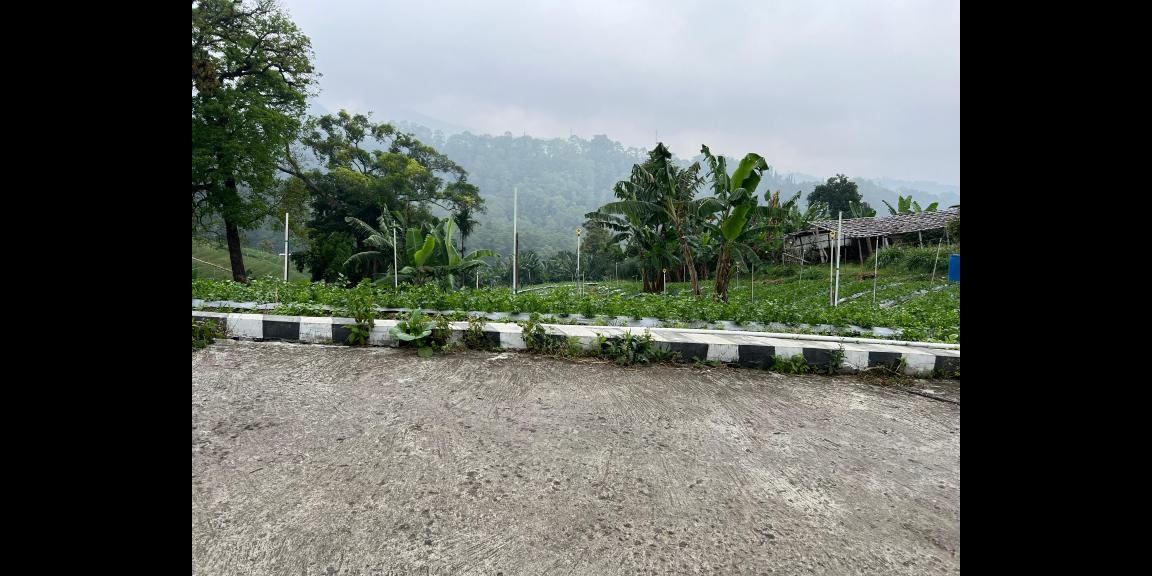 Tanah Kawasan Wisata Tawangmangu 2000m View Cantik Tanah Kawasan Wisata Tawangmangu 2000m View Cantik