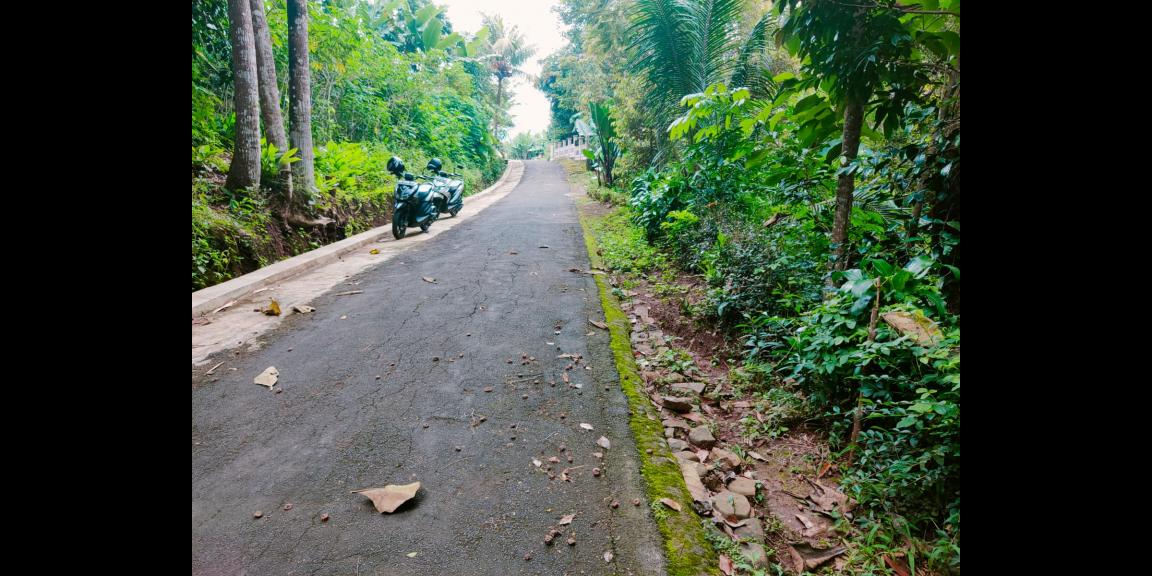 Tanah Cocok Untuk Kebun Buah Mojogedang Karanganyar Tanah Cocok Untuk Kebun Buah Mojogedang Karanganyar