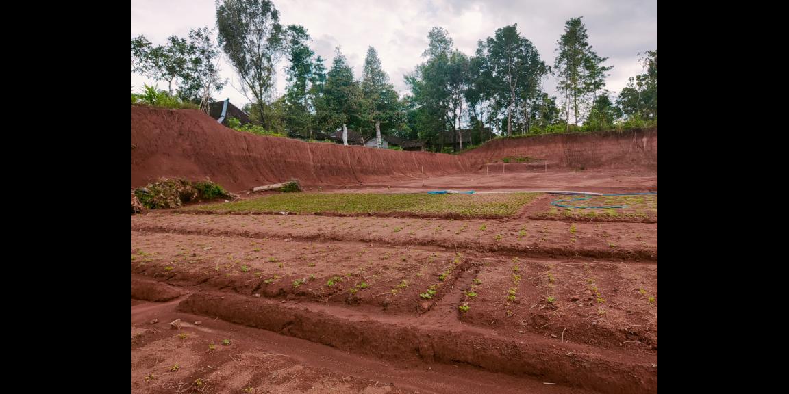 Tanah Datar Strategis Dibangun Villa Karangpandan Karanganyar Tanah Datar Strategis Dibangun Villa Karangpandan Karanganyar