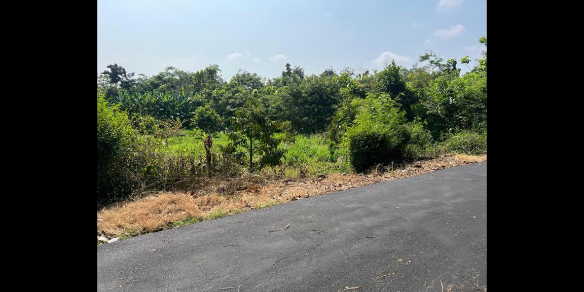 Tanah Kebun Buah 2020m² Kedawung Sragen Tanah Kebun Buah 2020m² Kedawung Sragen
