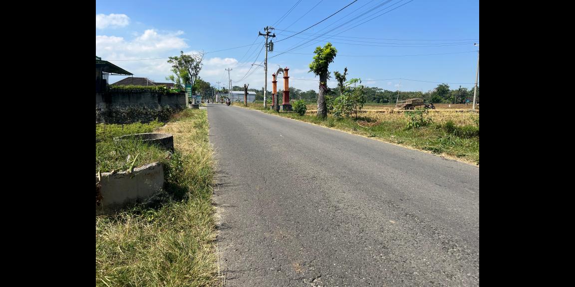 Dijual Tanah Sawah 700m 175Jt Kerjo Karanganyar  Dijual Tanah Sawah 700m 175Jt Kerjo Karanganyar