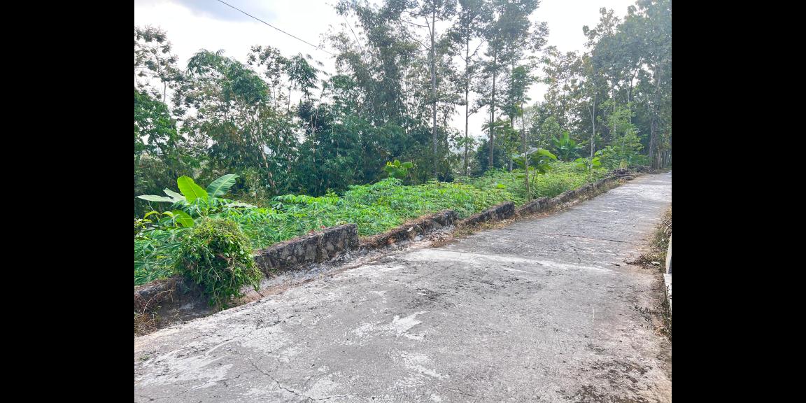 Tanah Subur 6000m² Kawasan Wisata Karangpandan Tanah Subur 6000m² Kawasan Wisata Karangpandan