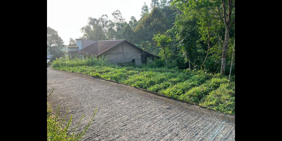 Tanah Istimewa Dekat Sungai 280m Jenawi Karanganyar Tanah Istimewa Dekat Sungai 280m Jenawi Karanganyar