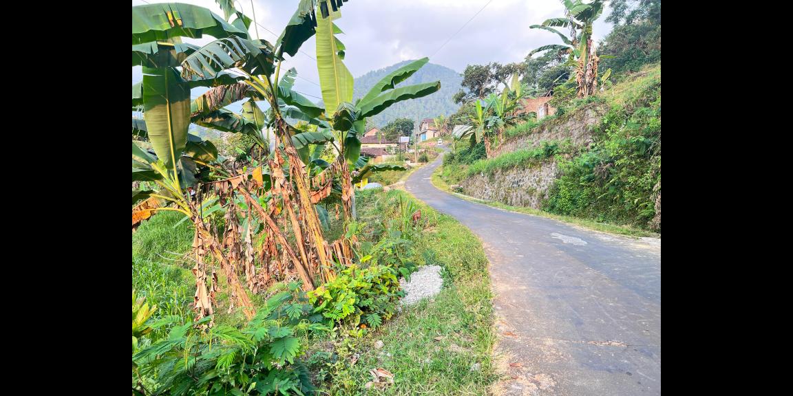 Tanah Strategis 1200 Timur Isykarima Tawangmangu Karanganyar Tanah Strategis 1200 Timur Isykarima Tawangmangu Karanganyar