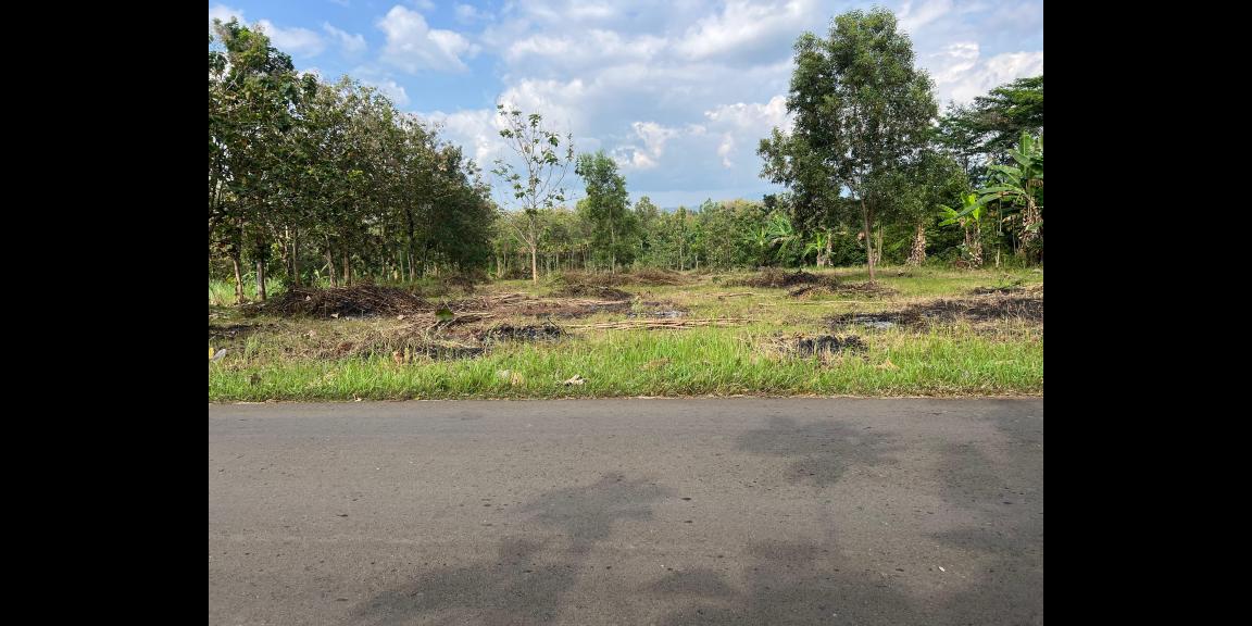 Tanah Zona Kuning 3000m² Siap Bangun Gudang Karanganyar Solo Tanah Zona Kuning 3000m² Siap Bangun Gudang Karanganyar Solo