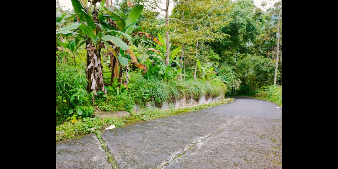 Tanah Strategis Dibangun Villa Tawangmangu Karanganyar Tanah Strategis Dibangun Villa Tawangmangu Karanganyar