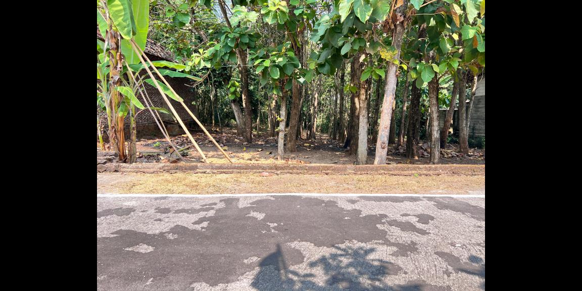 Tanah Datar 350 Juta Cocok Untuk Hunian Sragen Tanah Datar 350 Juta Cocok Untuk Hunian Sragen