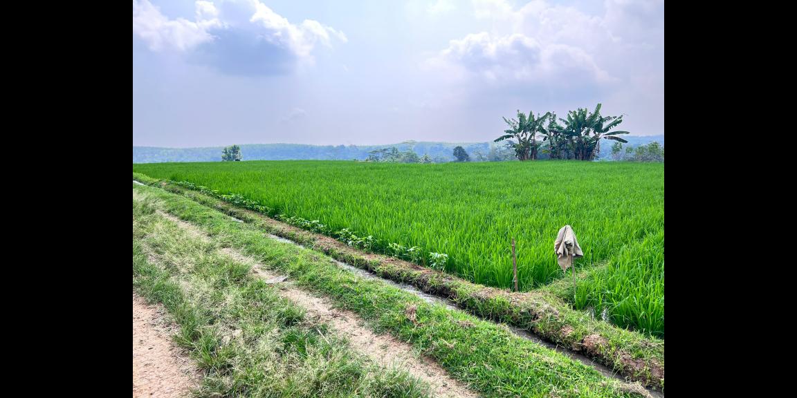 Tanah View Gunung Lawu 1000m Karanganyar Utara Tanah View Gunung Lawu 1000m Karanganyar Utara