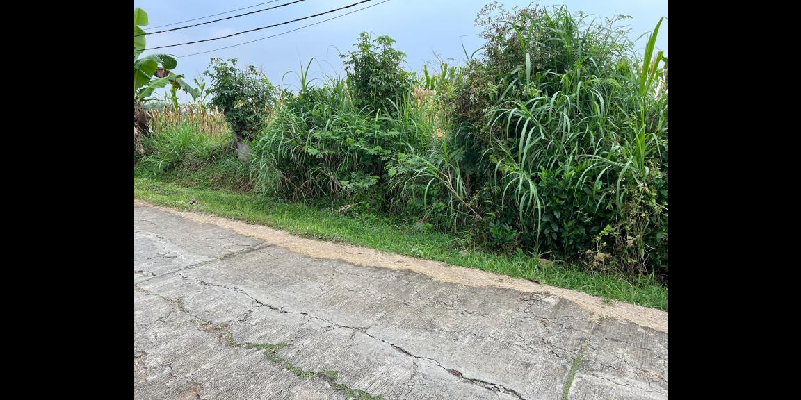 Tanah Datar Kerjo Karanganyar 3350m Siap Bangun Tanah Datar Kerjo Karanganyar 3350m Siap Bangun