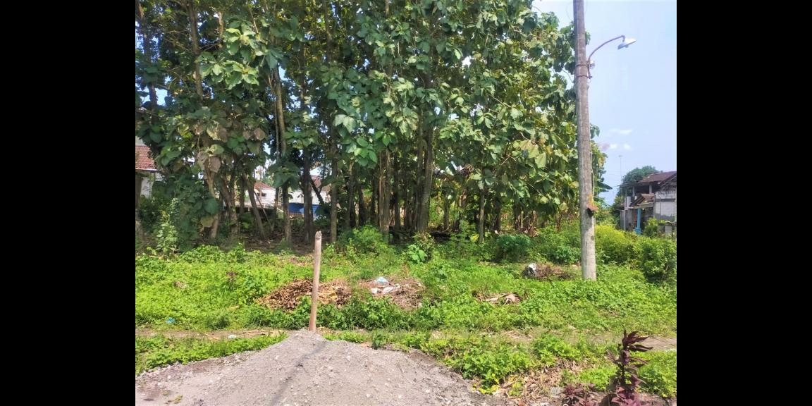 Tanah Kawasan Industri Cocok untuk Kost Sragen Tanah Kawasan Industri Cocok untuk Kost Sragen