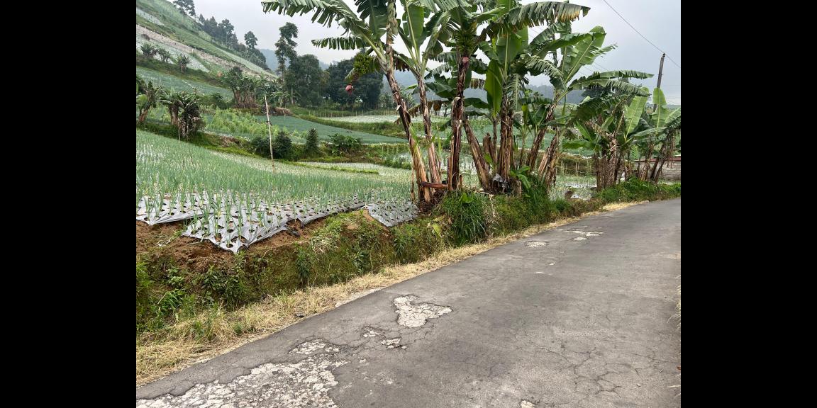 Tanah 480m² View Tanpa Halang Cocok Untuk Villa Kemuning Tanah 480m² View Tanpa Halang Cocok Untuk Villa Kemuning