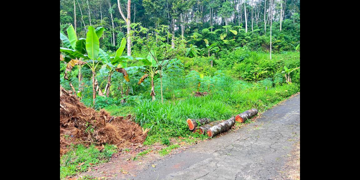 Tanah 1690m² Dekat Aliran Sungai Ngargoyoso Tanah 1690m² Dekat Aliran Sungai Ngargoyoso