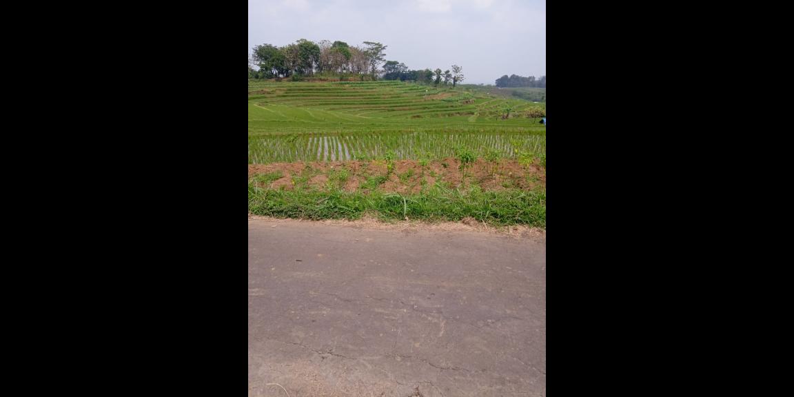 Tanah Datar 3416m View Solo Raya Kerjo, Karanganyar Tanah Datar 3416m View Solo Raya Kerjo, Karanganyar