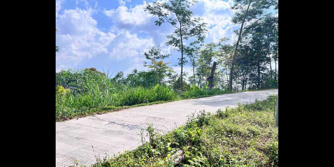 Tanah Murah 9803m 200rb/m Utara Candi Cetho Karanganyar Tanah Murah 9803m 200rb/m Utara Candi Cetho Karanganyar