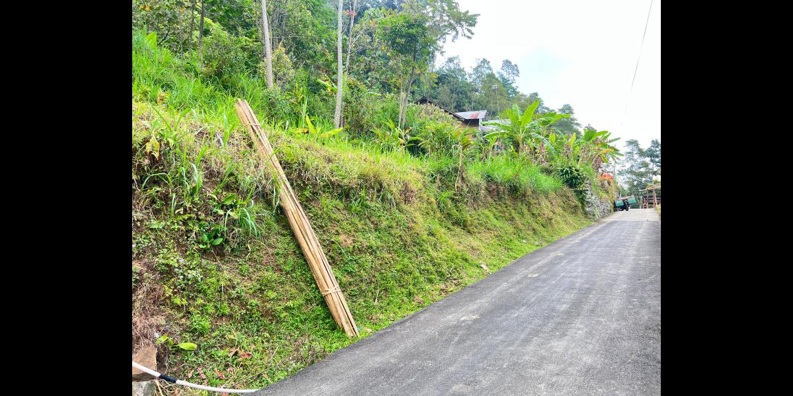 Tanah 817m² Udara Dingin Utara Jembatan Kaca Karanganyar Tanah 817m² Udara Dingin Utara Jembatan Kaca Karanganyar