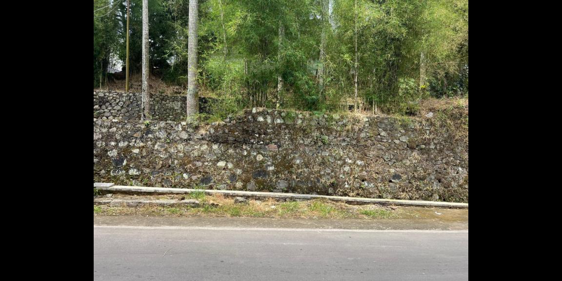 Tanah 1,2 Hektar Strategis Dekat Pasar Karangpandan Tanah 1,2 Hektar Strategis Dekat Pasar Karangpandan