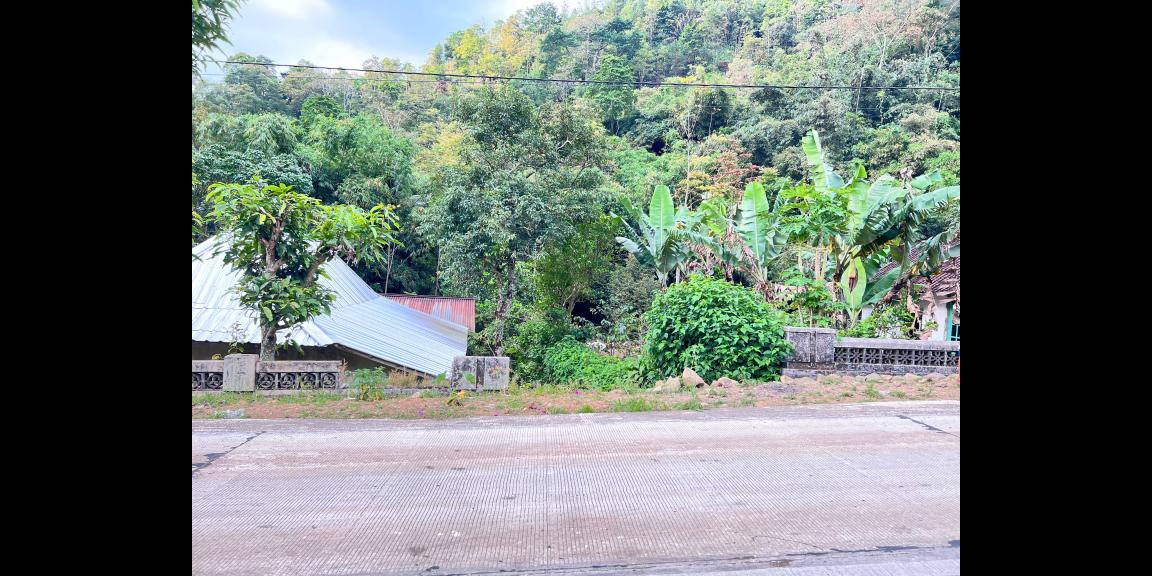 Tanah 2 Hektar Dekat Aliran Sungai Karanganyar Tanah 2 Hektar Dekat Aliran Sungai Karanganyar