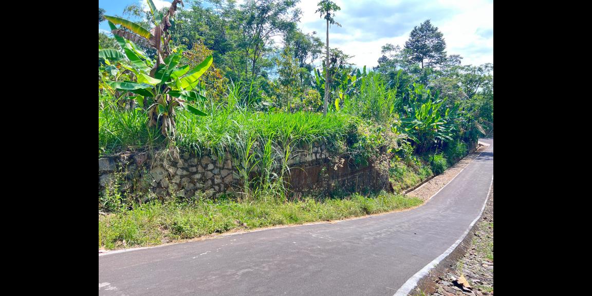 Kebun Durian 950m 250Jt Mojogedang Karanganyar Kebun Durian 950m 250Jt Mojogedang Karanganyar