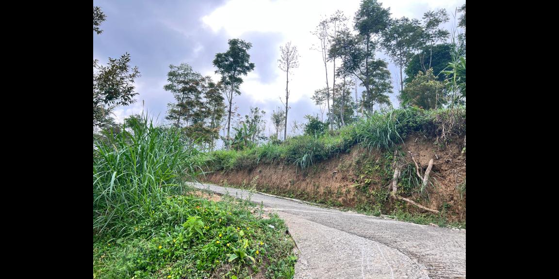 Tanah Cantik 7000m Utara Candi Cetho Karanganyar, Solo Tanah Cantik 7000m Utara Candi Cetho Karanganyar, Solo