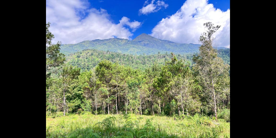 Tanah 4 Hektar Siap Bangun Wahana Wisata Karanganyar Tanah 4 Hektar Siap Bangun Wahana Wisata Karanganyar