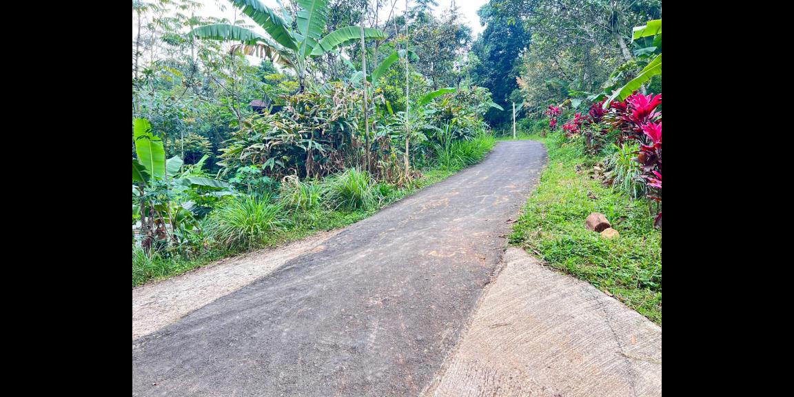 Tanah Istimewa 1 Hektar 500Juta Utara Candi Cetho Karanganyar Tanah Istimewa 1 Hektar 500Juta Utara Candi Cetho Karanganyar