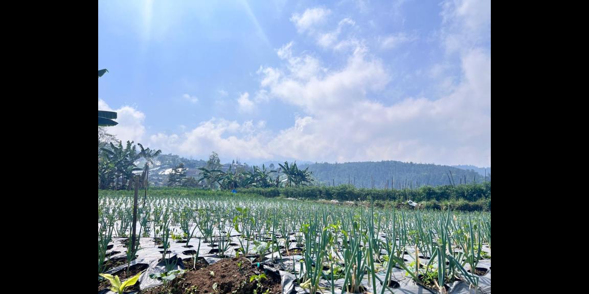 Tanah 7000m² Cocok Untuk Wisata Kebun Buah Ngargoyoso Tanah 7000m² Cocok Untuk Wisata Kebun Buah Ngargoyoso