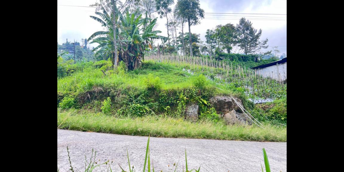 Tanah 690m² Strategis Timur Pasar Kemuning Tanah 690m² Strategis Timur Pasar Kemuning